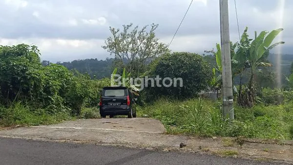 image TANAH 30 ARE DI PLAGA DEKAT KINTAMANI (3)