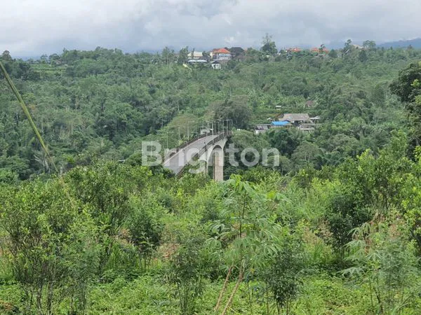 image TANAH 30 ARE DI PLAGA DEKAT KINTAMANI (7)