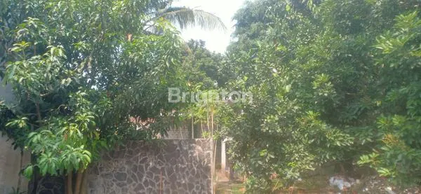 image RUMAH DENGAN TANAH YANG LUAS  DAN NYAMAN -DI PONDOK LABU, JAKARTA SELATAN. (6)