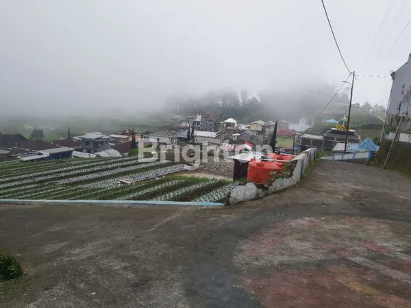 image TANAH PEKARANGAN DI PUNCAK BUKIT MONGKRANG DESTINASI WISATA DI LERENG GUNUNG LAWU (3)
