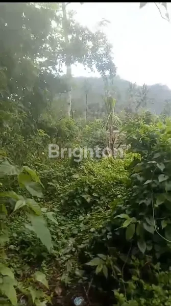 image TANAH PINGGIR JALAN DI SIDEMEN KARANG ASEM (2)