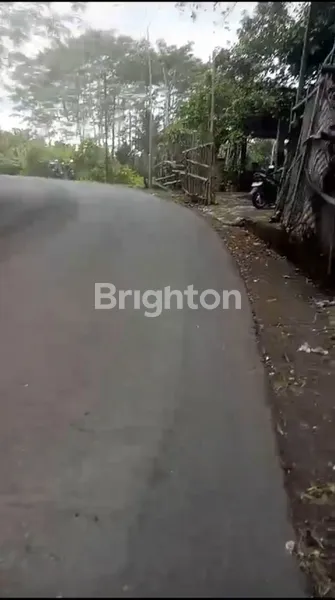image TANAH PINGGIR JALAN DI SIDEMEN KARANG ASEM (1)