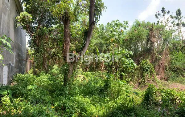 image BANGUNAN TENGAH KOTA NOL KJALAN  (7)