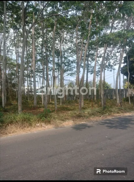 image TANAH D PANDAN LANDUNG ATAS  (2)