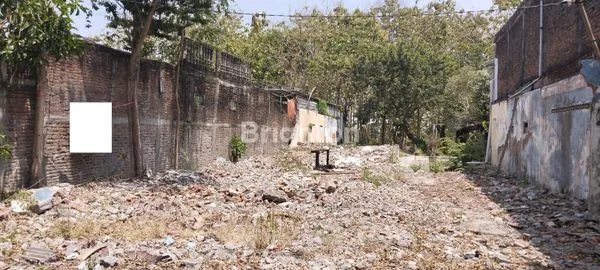 image TANAH DI MENGANTI  (5)