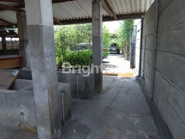 image JUAL RUMAH MURAH. TANAH LUAS LOKASI  MASANGAN KULON SUKODONO SIDOARJO. (1)