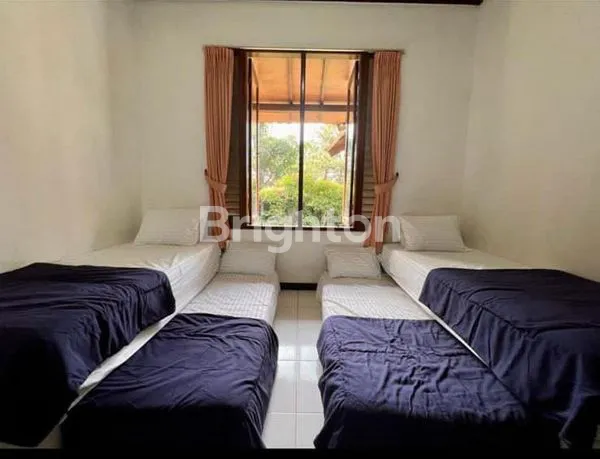 image VILLA BOUGENVILLE MODESTA (7)