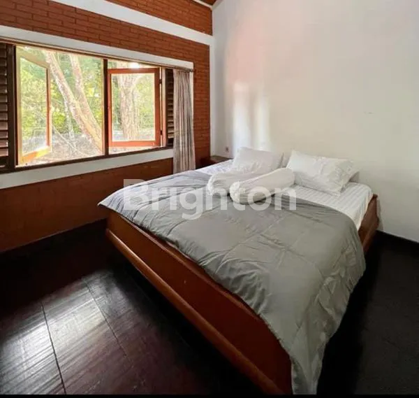 image VILLA BOUGENVILLE MODESTA (5)