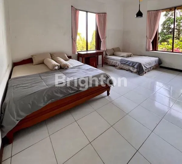 image VILLA BOUGENVILLE MODESTA (6)