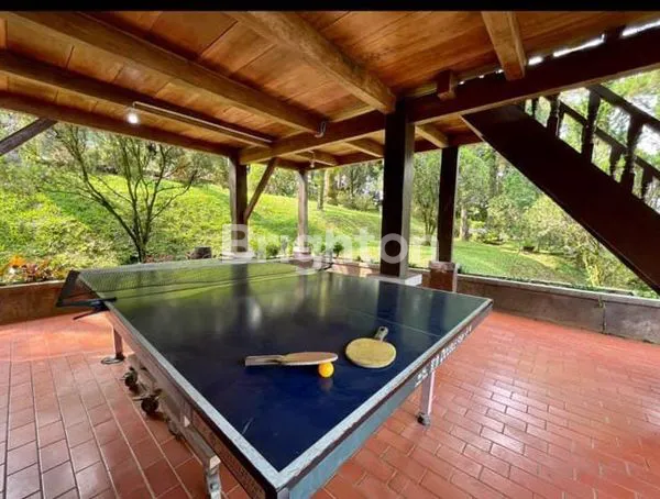 image VILLA BOUGENVILLE MODESTA (2)