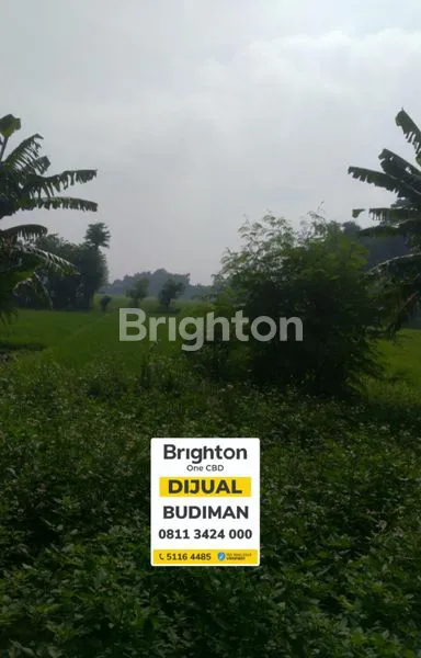 DI JUAL CEPAT, TANAH NOL JALAN WONODADI, KUTOREJO, MOJOKERTO