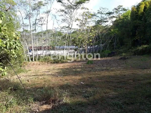 image TANAH NOL JALAN PROVINSI TRENGGALEK (1)