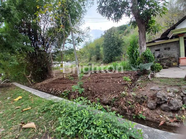 image TANAH NOL JALAN PROVINSI TRENGGALEK (2)