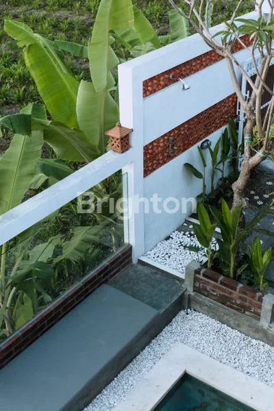 image VILLA TROPIS TIBUBENENG 2 KAMAR SAWAH MATAHARI SUNSET CANGGU (8)