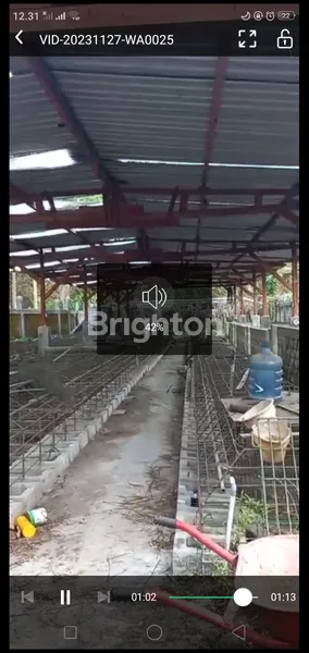 image TANAH PLUS KANDANG BABI DI KEDIRI (2)