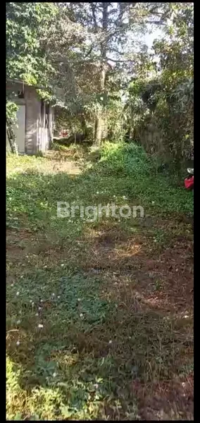 image TANAH PLUS KANDANG BABI DI KEDIRI (5)