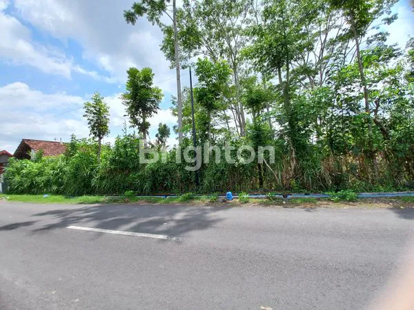 image TANAH STRATEGIS PINGGIR JALAN COCOK UNTUK USAHA (3)