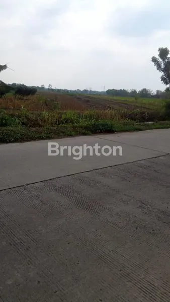 image TANAH ZONA INDUSTRI MOJOKERTO (1)