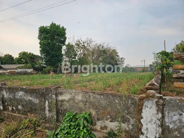 image TANAH LUAS 1,2 HEKTAR DI JOHO KEC WATES KAB KEDIRI (6)