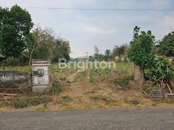 image TANAH LUAS 1,2 HEKTAR DI JOHO KEC WATES KAB KEDIRI (2)