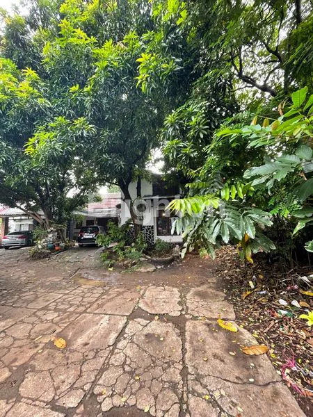 image RUMAH STRATEGIS HITUNG TANAH COCOK UNTUK USAHA PANGKALAN JATI JAKARTA SELATAN (6)