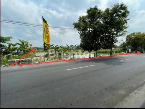 image TANAH WATES (1)