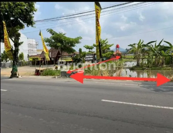 image TANAH WATES (4)