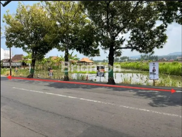 image TANAH WATES (2)