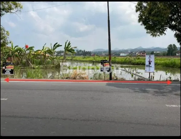 image TANAH WATES (5)