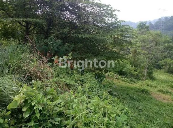 image LAHAN MURAH STRATEGIS UNTUK INVESTASI DAN USAHA DI BOGOR  (5)