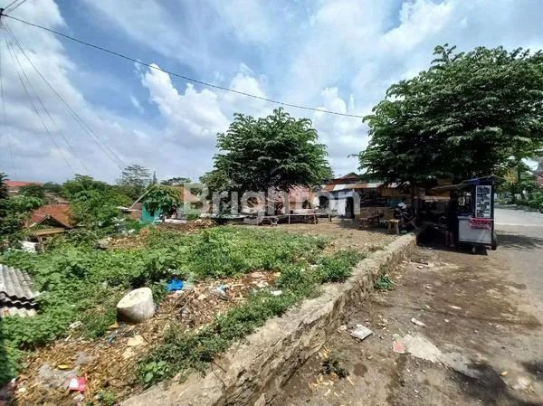 image TANAH PULAU2 (1)