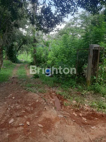 image LAHAN COCOK U PERTANIAN ATAU PETERNAKAN DI CARIU (2)