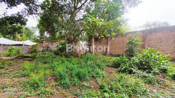 image TANAH LEBAR 15M DI AREA KOLAK JALAN PROVINSI KEDIRI TULUNGAGUNG KAB KEDIRI (2)