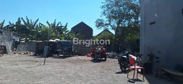 image SAWOTRATAP WARU (1)