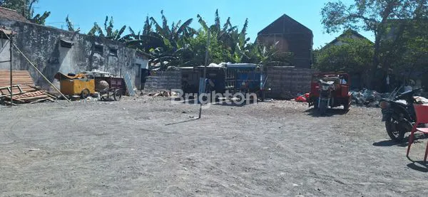 image SAWOTRATAP WARU (4)