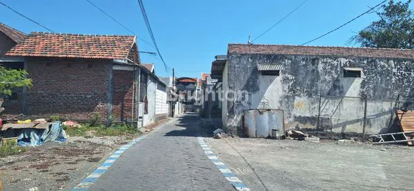 image SAWOTRATAP WARU (3)