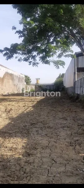 image TANAH STRATEGIS COCOK UNTUK USAHA DI JALAN RAYA BALONGPANGGANG, GRESIK (5)