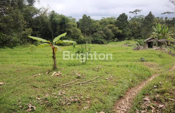 TANAH APUAN BATURITI TABANAN SAWAH JATILUWIH