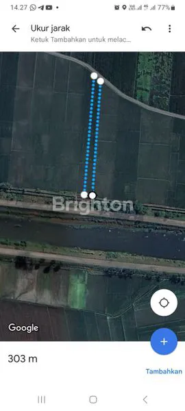 image TANAH SAWAH DI BOYOLANGU (3)