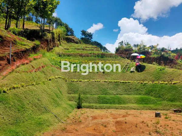 image LAHAN VIEW SUPER ISTIMEWA GUNUNGSARI BUMIAJI BATU (1)