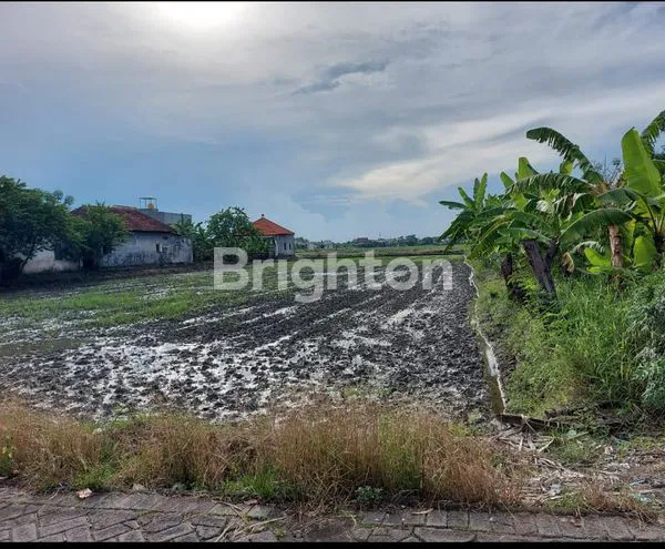 image TANAH DI SEDATI SIDOARJO (1)