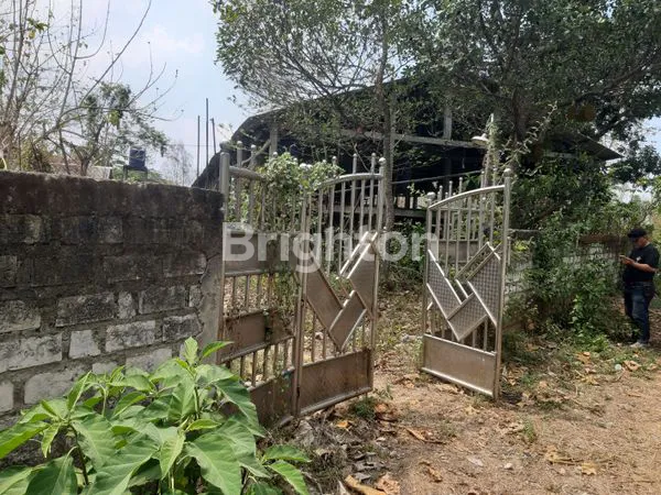 BEKAS PETERNAKAN AYAM DI TUBAN