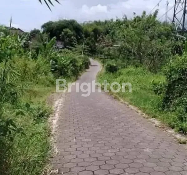 image TANAH DI KABUPATEN MAGELANG (1)