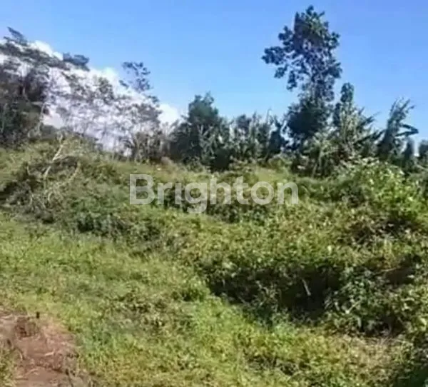 image TANAH DI KABUPATEN MAGELANG (3)