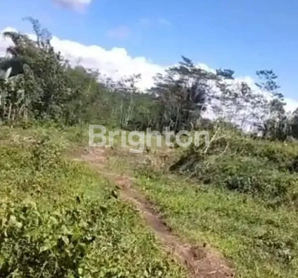 image TANAH DI KABUPATEN MAGELANG (2)