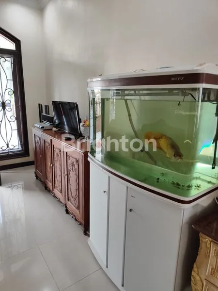 image RUMAH PAKUWON CITY CLUSTER WESTWOOD BANGUNAN BARU SIAP HUNI (4)