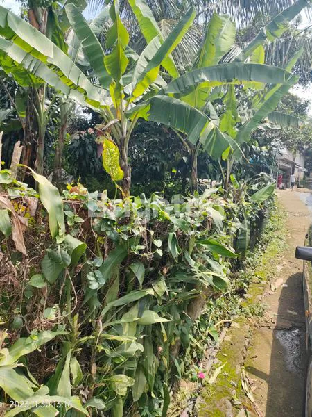 image TANAH DIJUAL COCOK UNTUK INVESTASI (2)