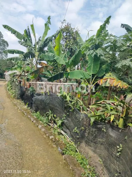 TANAH DIJUAL COCOK UNTUK INVESTASI