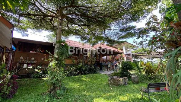 image VILLA ETNIC DI BELAKANG SETIABUDI REGENCY HALAMAN LUAS DAN KEBUN SAYURAN (6)