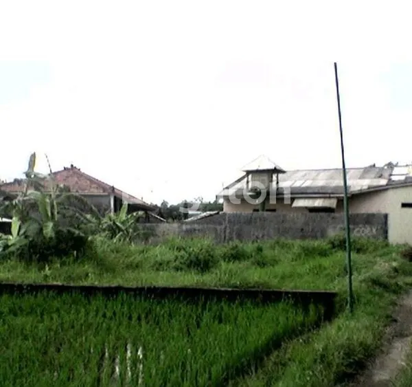 image RAYA BY PASS PANDAAN (3)